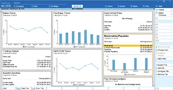 tally prime powerful dashboard on tally mena solutions